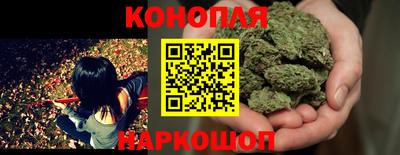 Альфа ПВП Берёзовский