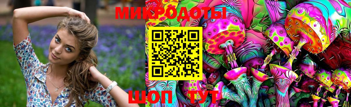 Псилоцибиновые грибы Psilocybe  Вход с VPN  Кимовск 